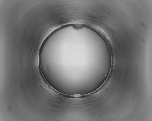 X0000112481276200908311403