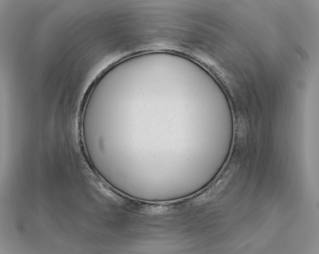 X0000112481278200908311403