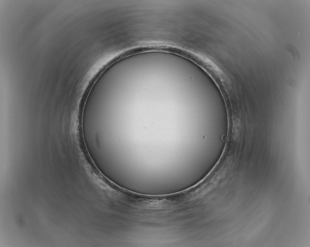 X0000112481279200908311403