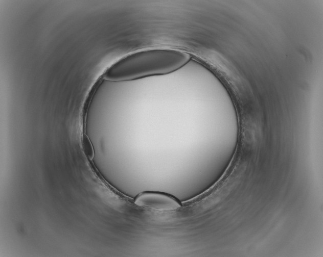 X0000112481280200908311403