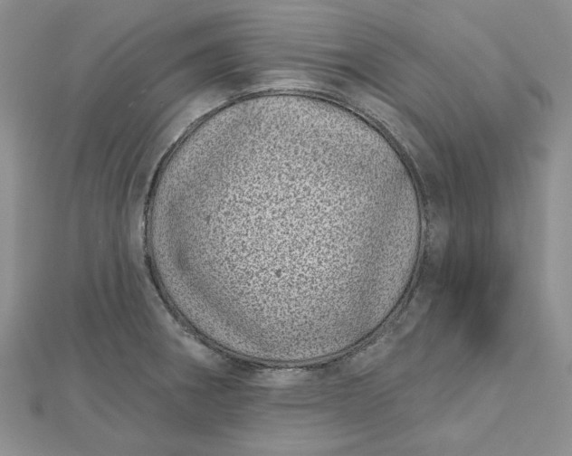 X0000112481282200908311403