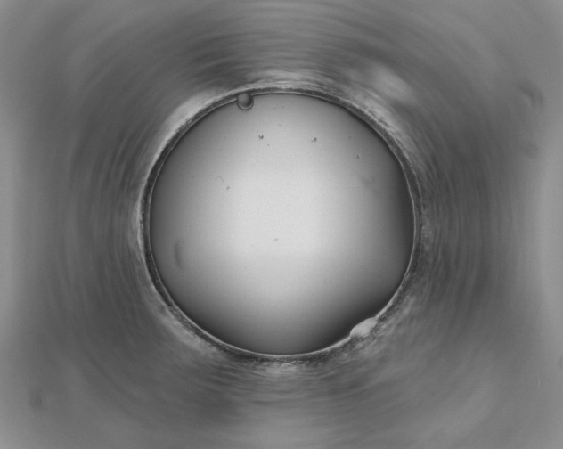 X0000112481283200908311403