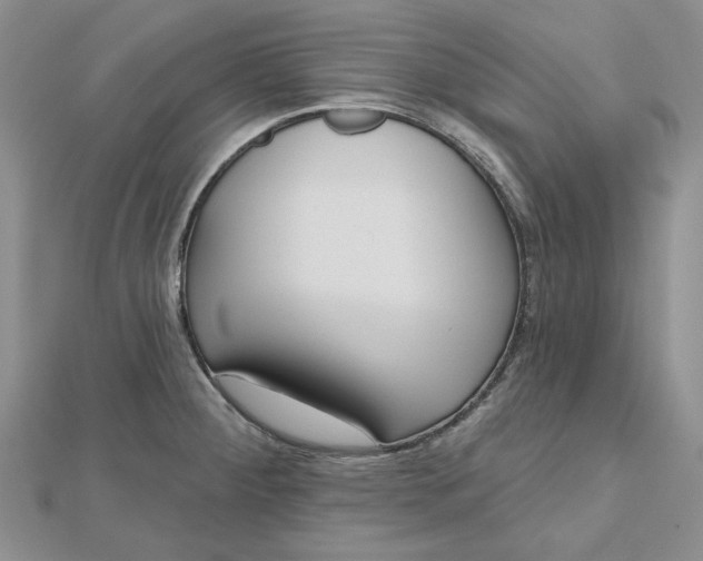 X0000112481284200908311403