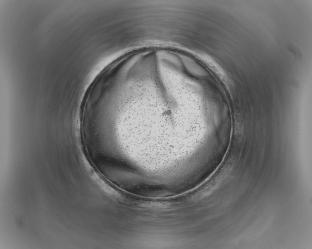 X0000112481287200908311403