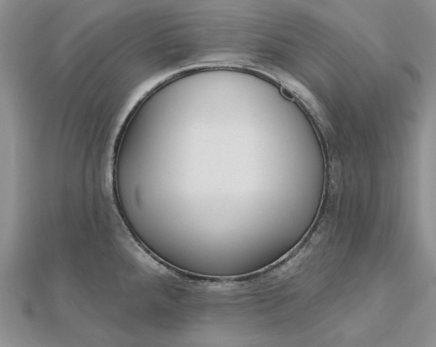 X0000112481288200908311403