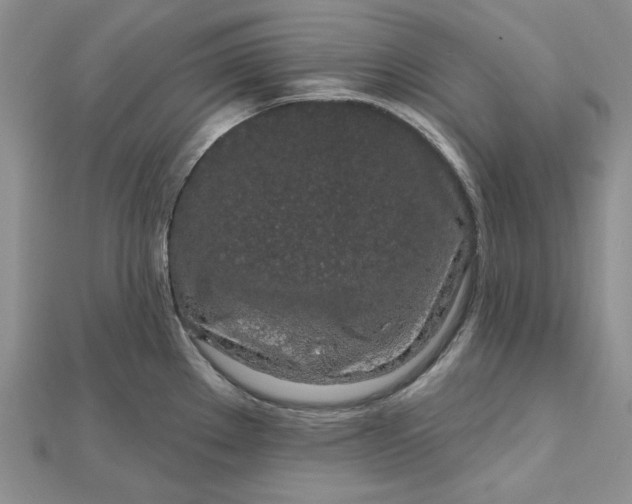 X0000112481289200908311403