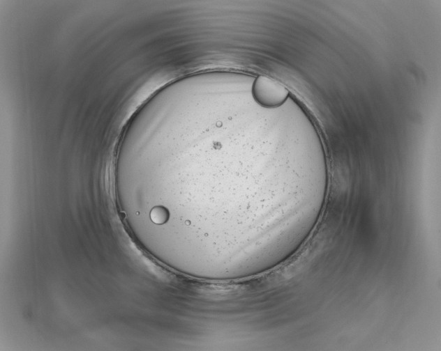 X0000112481290200908311403