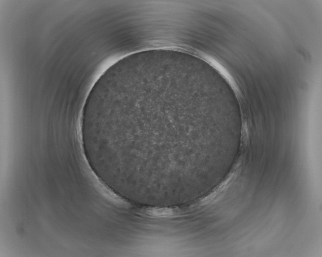 X0000112481291200908311403