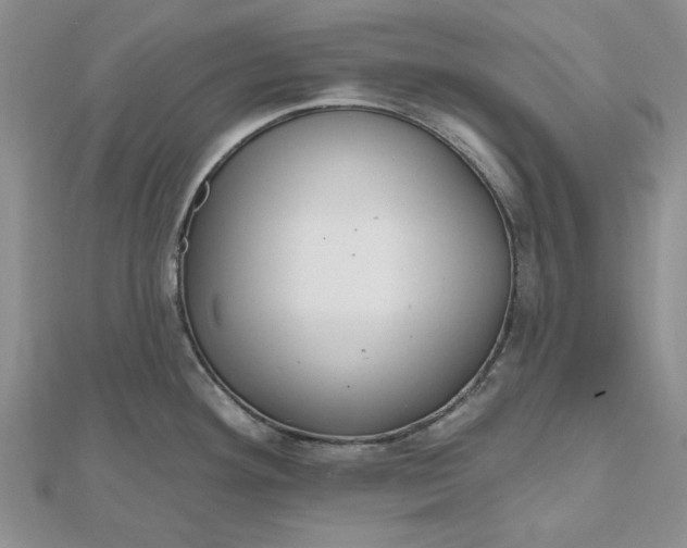 X0000112481292200908311403