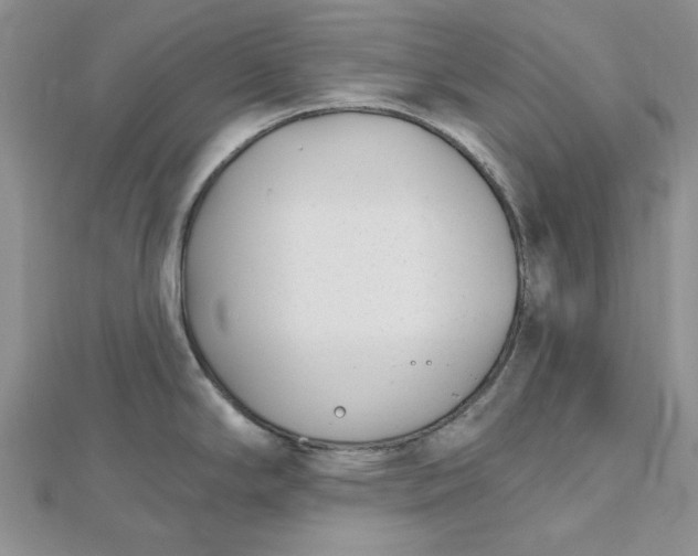 X0000112481294200908311403