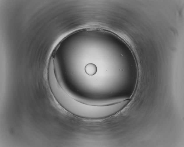 X0000112481296200908311403