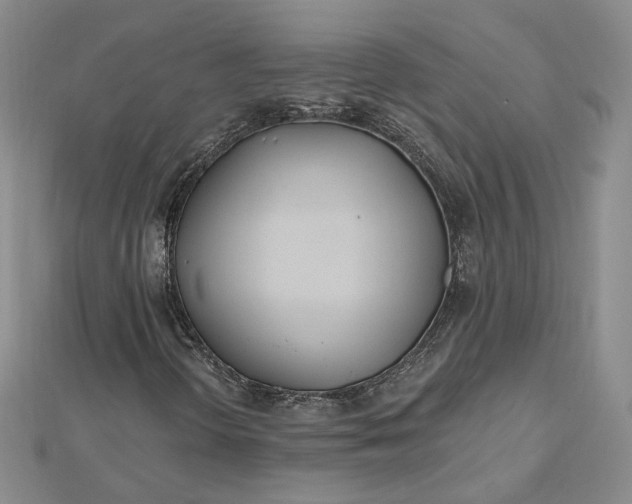 X0000112481298200908311402