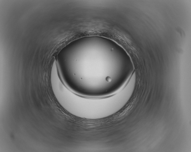 X0000112481300200908311402