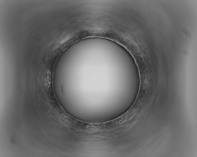 X0000112481301200908311402