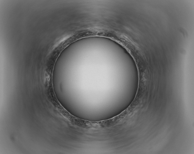 X0000112481302200908311402