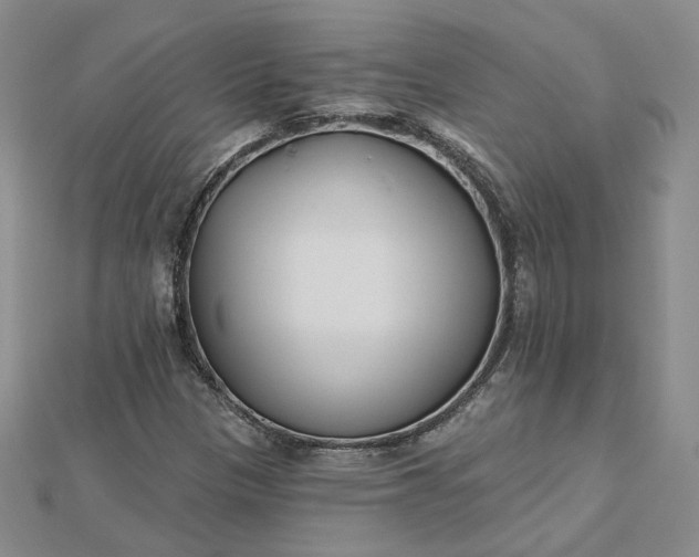 X0000112481305200908311402