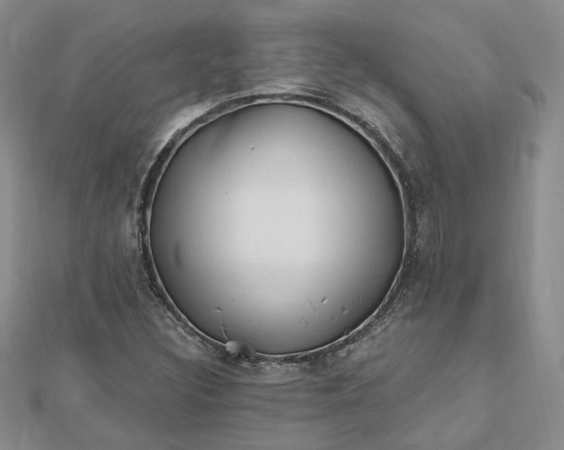 X0000112481308200908311402