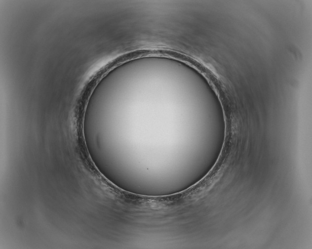 X0000112481311200908311402