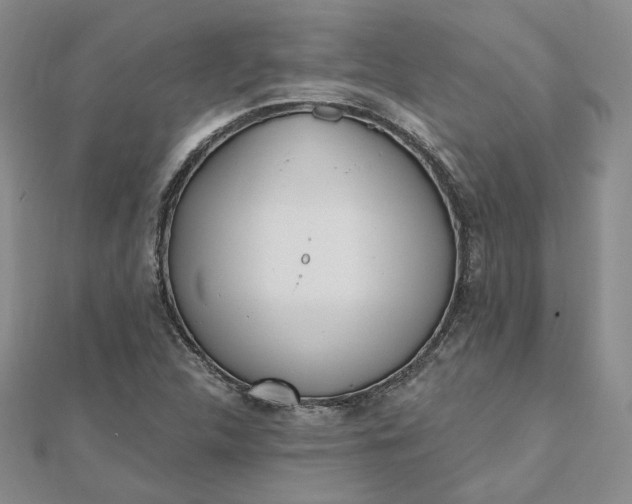 X0000112481312200908311402