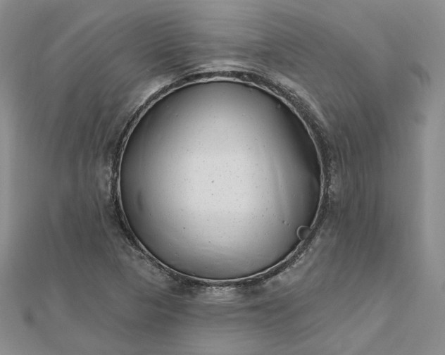 X0000112481313200908311402