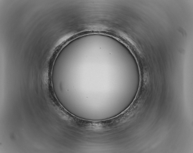 X0000112481315200908311402