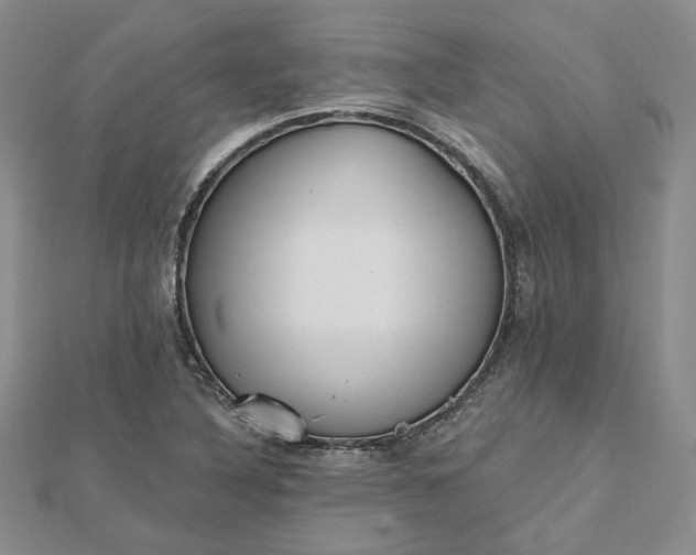 X0000112481316200908311402