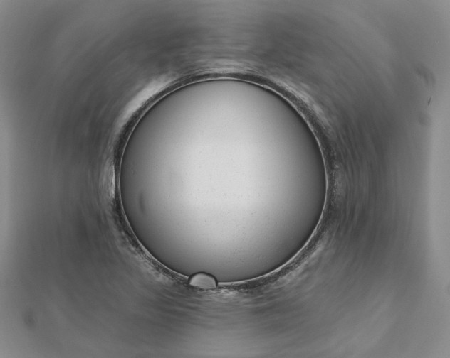 X0000112481317200908311402