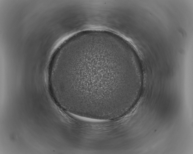 X0000112481319200908311402