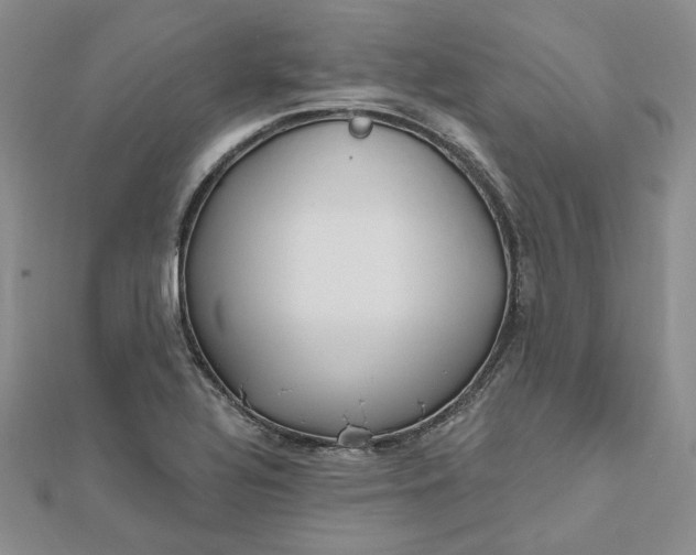 X0000112481320200908311402