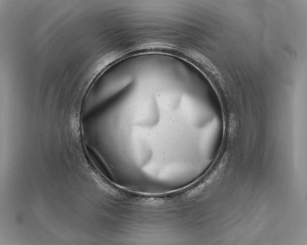 X0000112481321200908311402