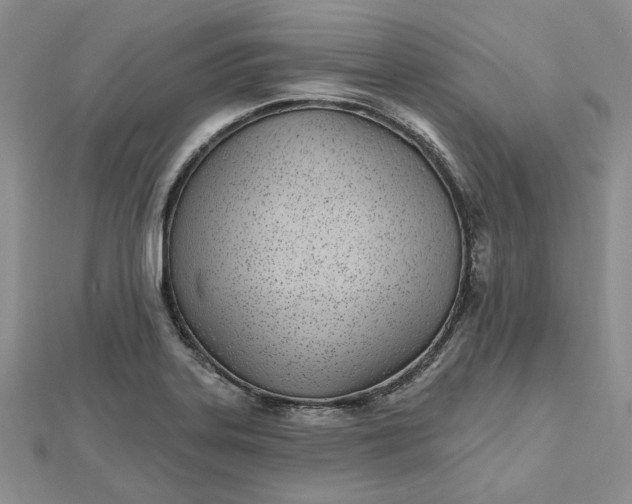 X0000112481323200908311402