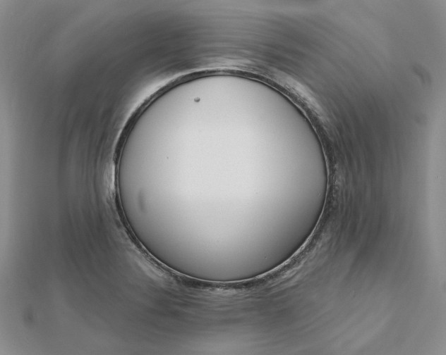 X0000112481324200908311402