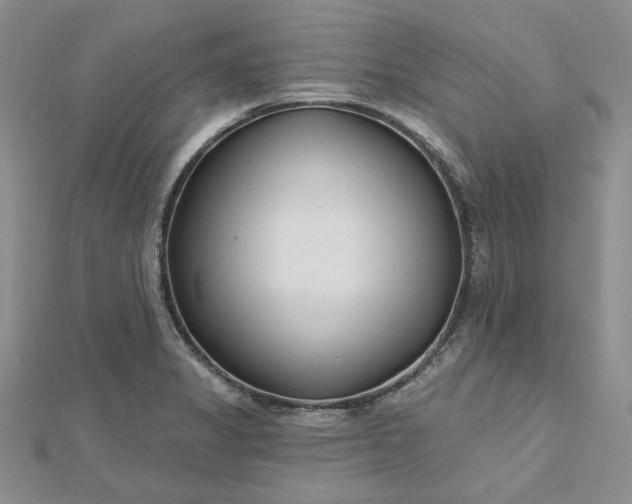 X0000112481325200908311402