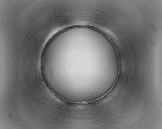 X0000112481326200908311402