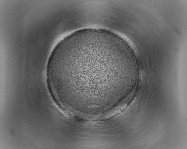 X0000112481327200908311402