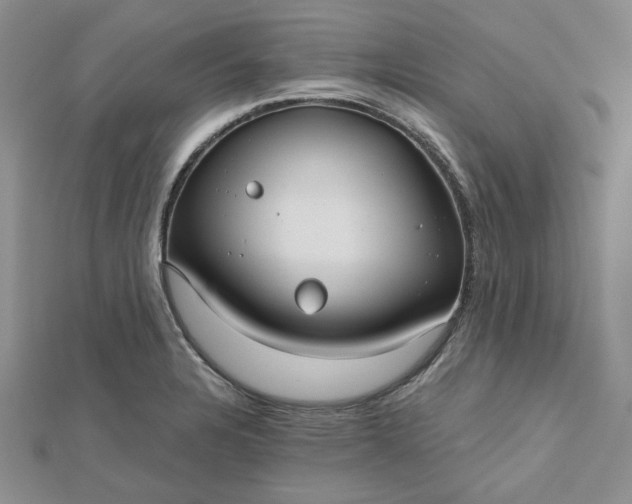 X0000112481328200908311402