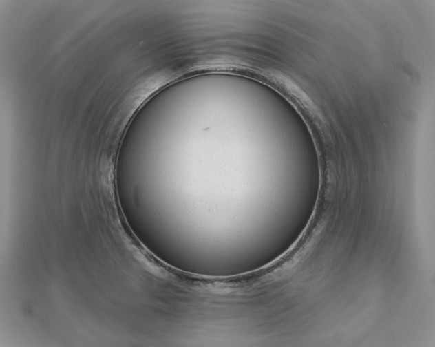 X0000112481329200908311402