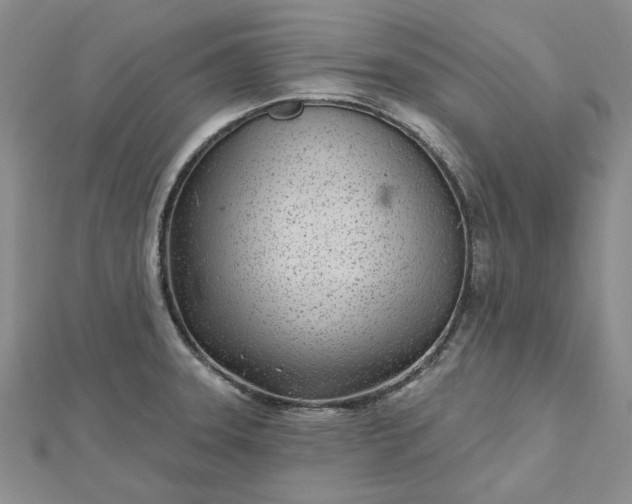 X0000112481331200908311402