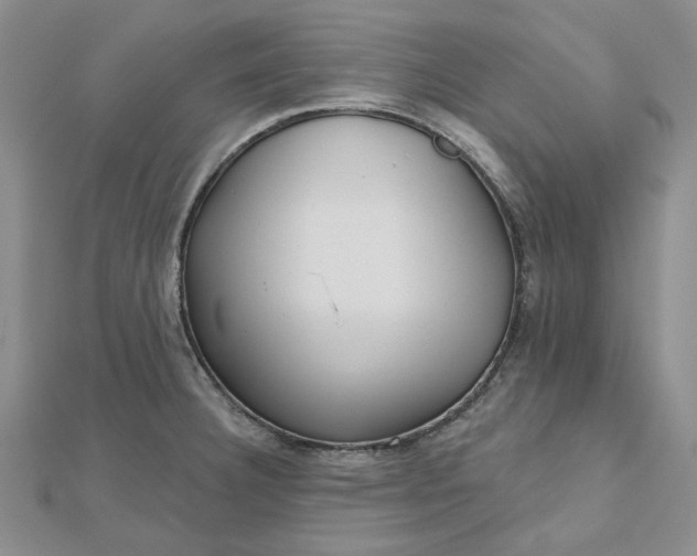 X0000112481332200908311403