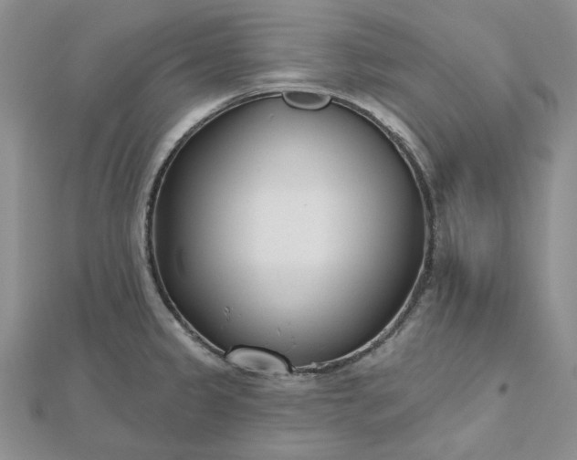 X0000112481333200908311403