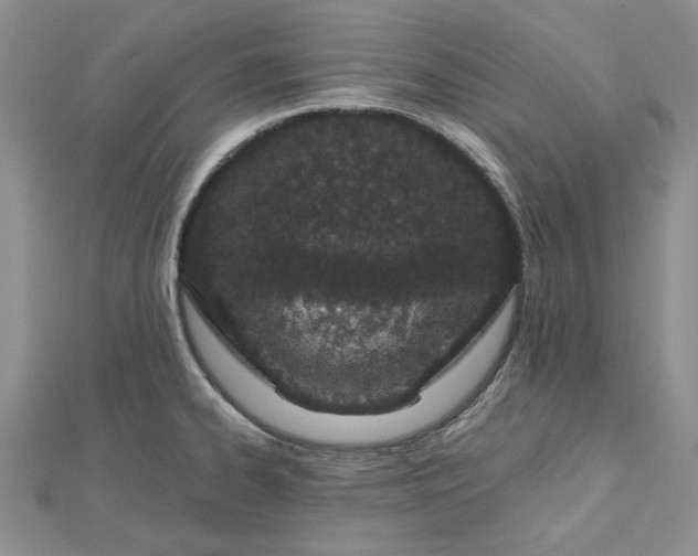 X0000112481334200908311403