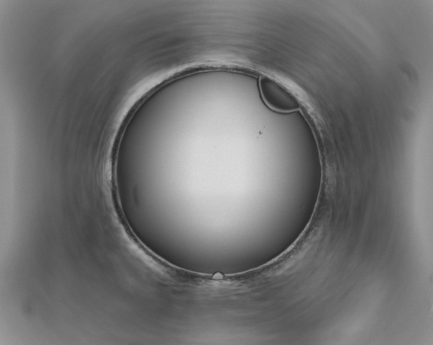 X0000112481335200908311403