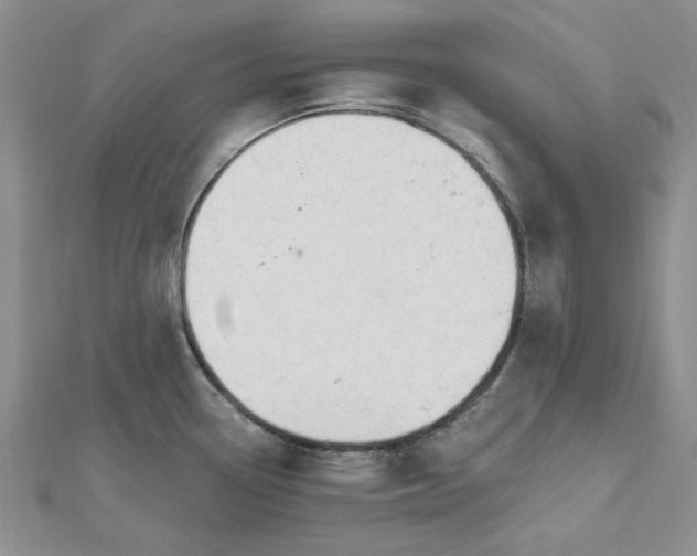 X0000112481338200908311403