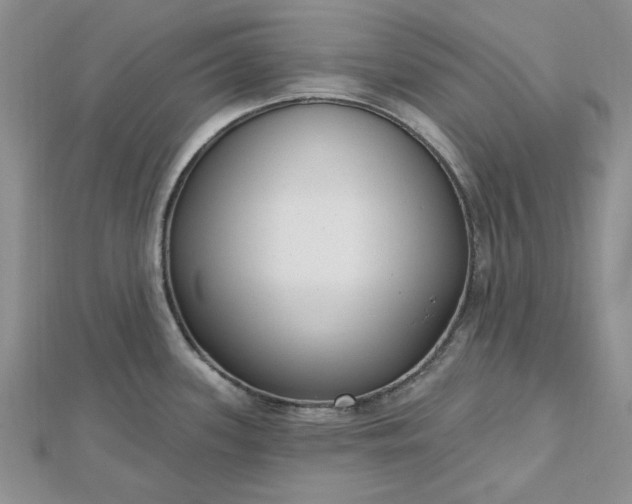 X0000112481339200908311403