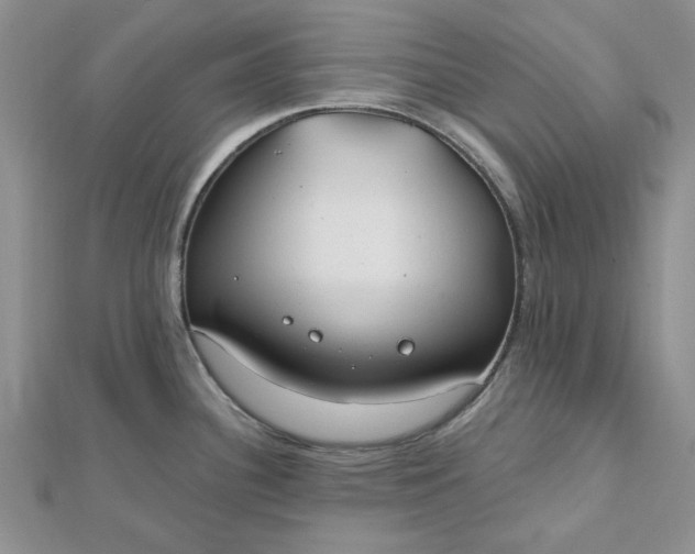 X0000112481340200908311403