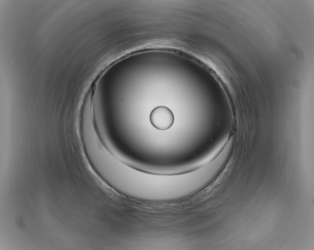 X0000112481342200908311403