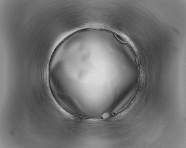 X0000112481343200908311403