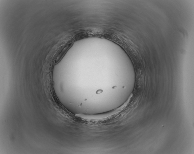 X0000112481345200908311402