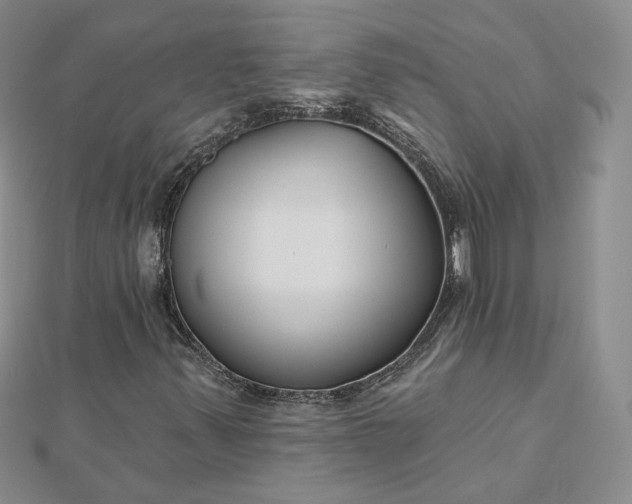 X0000112481347200908311402