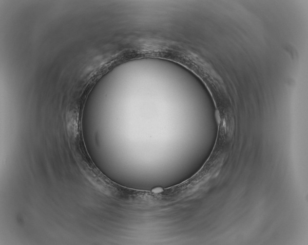 X0000112481348200908311402